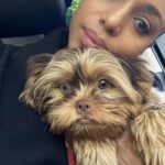 Kerry Washington Instagram - Instagram, meet my new furbaby… Cinnamon 🥹
