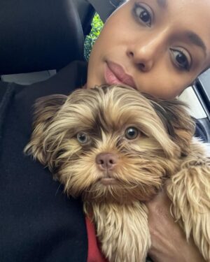 Kerry Washington Instagram - Instagram, meet my new furbaby… Cinnamon 🥹