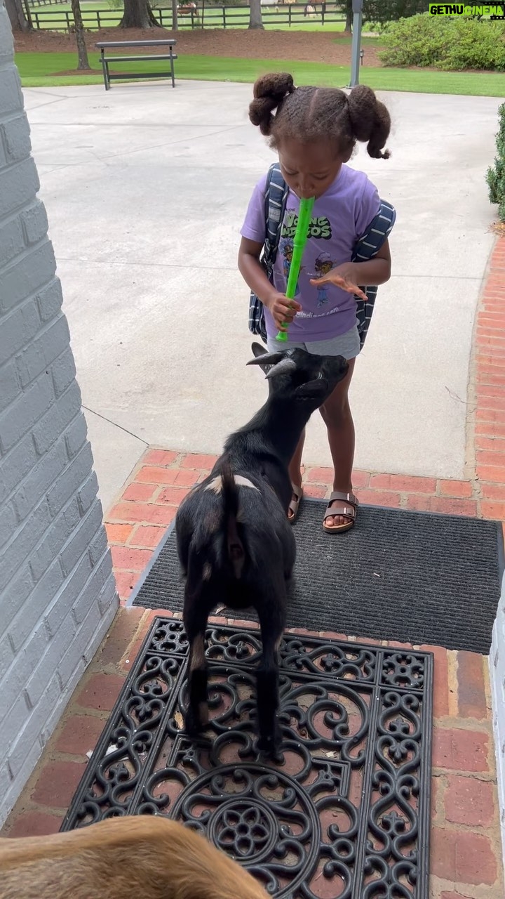 Keshia Knight Pulliam Instagram - So this is real life at our house!! I promise I can’t make this ish up. It’s never a dull moment on the farm… I wouldn’t trade it for the world!! 🤷🏾♀️😂🤦🏾♀️ Our Happy Place