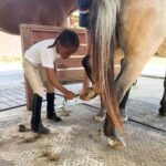 Keshia Knight Pulliam Instagram - My big girl has officially started riding lessons & I am so proud!! Like me, she loves horses. Ella has been asking to start taking lessons for the past 2 years. Most don’t know that I graduated from @foxcroftschool . In high school I competed on the riding team and rode almost every day. I’m happy that I now have a little riding partner. ❤️ #HorsesComingSoonToOurFarm