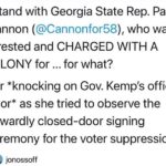 Keshia Knight Pulliam Instagram – Speechless… This is what #Racism & #VoterSuppression look like!!! #Georgia