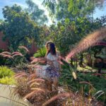 Ketika Sharma Instagram - “The magic isn’t in the big moments, the big events, the big achievements. The true magic of life is in the mundane. In the little moments. The morning hug, the first coffee, the sunrise. It’s the chat with a friend you didn’t expect to run into. It’s the beautiful view out the window and the warm sun on your face. It’s the home-cooked meal made with love, the goodnight text, and the early night snuggled in a warm bed. When you look back on your life it’s these little moments that you’ll be replaying in your memories and longing for more of. It’s these little moments that are the real magic. The real magic is in the everyday.” - LISA BUSCOMB 🙌🏼 Stunning pictures by @shazzalamphotography ✨ Also I’m obsessed with @habitus.goa 🫶 #blessed #gorgeous #mornings #gratitude