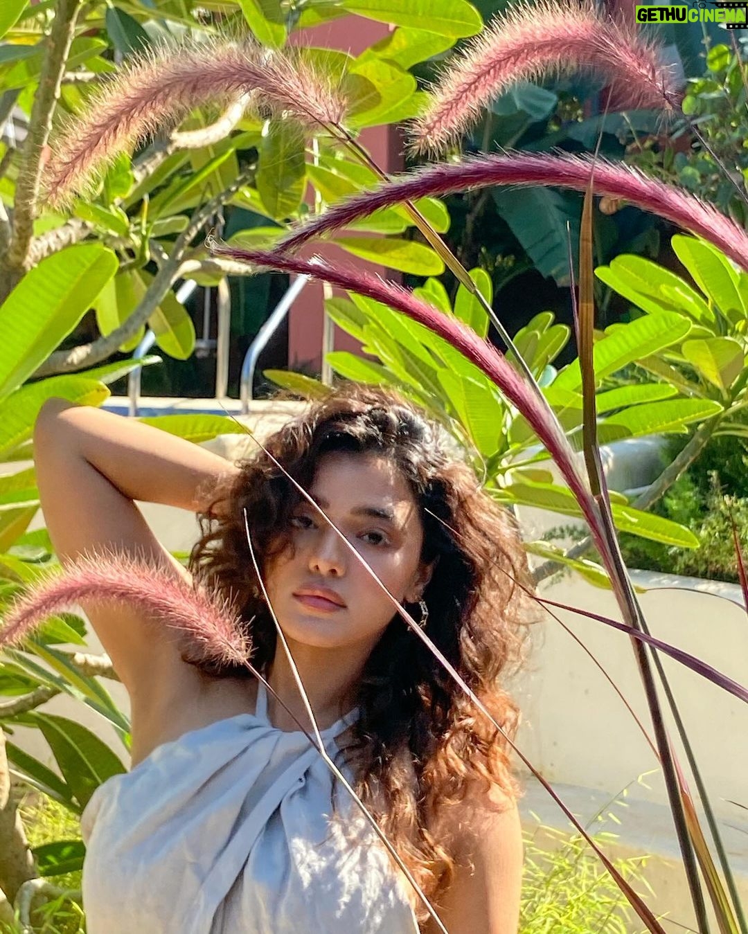 Ketika Sharma Instagram - “The magic isn’t in the big moments, the big events, the big achievements. The true magic of life is in the mundane. In the little moments. The morning hug, the first coffee, the sunrise. It’s the chat with a friend you didn’t expect to run into. It’s the beautiful view out the window and the warm sun on your face. It’s the home-cooked meal made with love, the goodnight text, and the early night snuggled in a warm bed. When you look back on your life it’s these little moments that you’ll be replaying in your memories and longing for more of. It’s these little moments that are the real magic. The real magic is in the everyday.” - LISA BUSCOMB 🙌🏼 Stunning pictures by @shazzalamphotography ✨ Also I’m obsessed with @habitus.goa 🫶 #blessed #gorgeous #mornings #gratitude