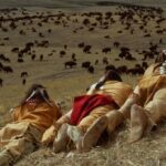 Kevin Costner Instagram - I’ve been seeing messages from a lot of you watching Dances With Wolves for the first time since it’s on @netflix. I love the renewed interest in what will always be one of the most personal projects I’ve ever worked on. If you’re a first timer, tell me in the comments!