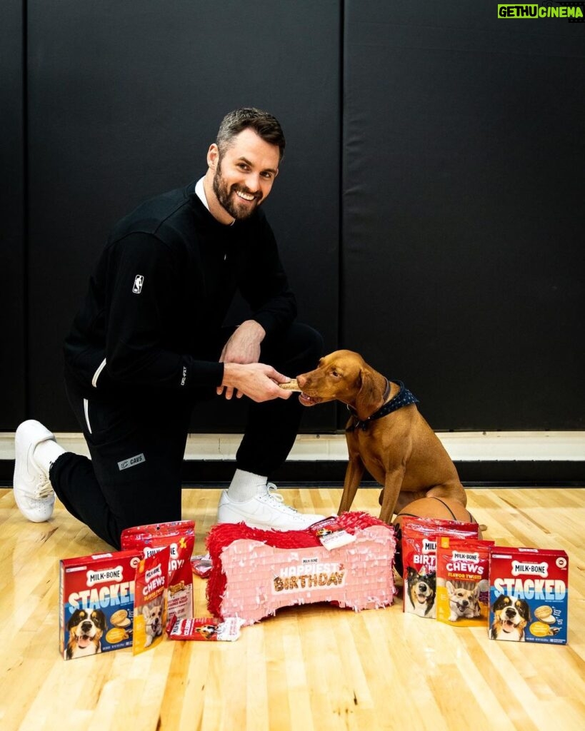 Kevin Love Instagram - #ad Celebrating Vestry every day is easy, but even more so when it's her birthday. Vestry turned four yesterday so @milkbone helped me give her extra love with their Birthday Prize Pack. For fellow dog lovers, join the Milk-Bone Birthday Club and you'll be entered into a sweepstakes, where you can win prizes and celebrate your dog's birthday or gotcha day, including a Milk-Bone Boñata. #MoreDog