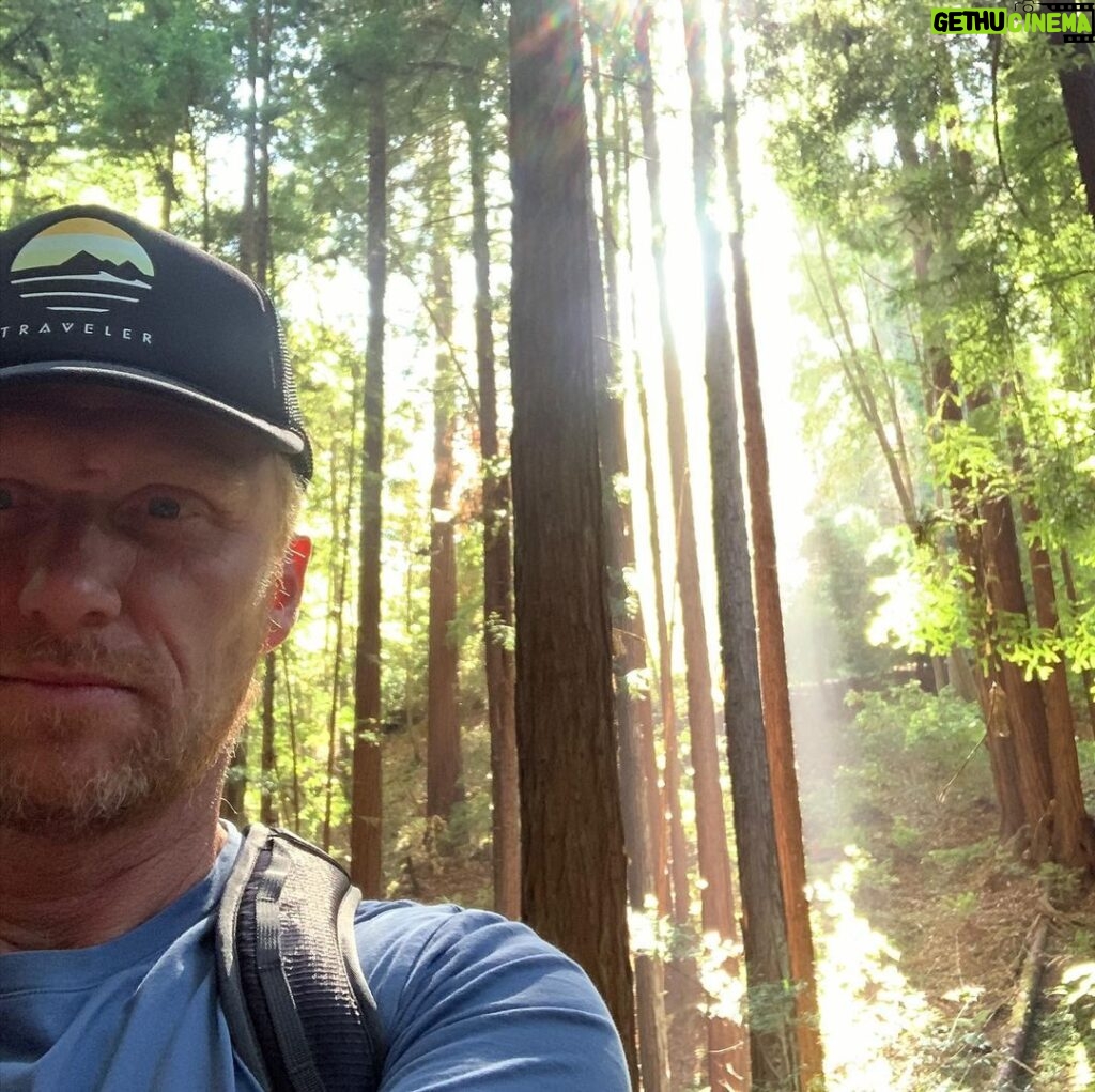 Kevin McKidd Instagram - Thanks again to @traveler_surf_club for the Sandy Van and getting me out here to the wonderful environs of Santa Cruz ! I love it here !! Surfed out , almost .... hike in the redwoods literally 10 mins from tbe Centre of town! Thanks to the lovely lady who recommended this hike while sat at Capitola jetty - it was awesome !!! #solosurftrip #santacruz @traveler_surf_club