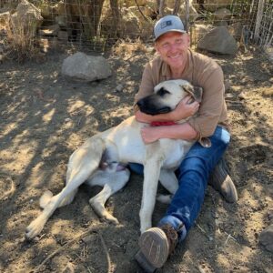 Kevin McKidd Instagram - I'm not sure if the Instaworld is ready but ... introducing Poncho ! He's just over 1 years old and the size of a small horse! He is gentle as can be but he's gotta stop going after our chickens. Internet folks- Say hi to Poncho!  @save_your_soil