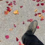 Kevin McKidd Instagram - #bts @greysabc finale. This episode became all about these petals