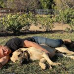 Kevin McKidd Instagram - Happy new year everyone ! My New Year's Day was this .. napping in the afternoon sun with this amazing animal whose body is the size of me ! It was the most rejuvenating and healing nap I have taken in years! ThNk you @actingk9services for giving this great dog the boundaries he needs so he can live the life he truly deserves! I wish you all a healthy and happy new year - much love Kev - follow @save_your_soil ! PEACE photo credit @briankangal Thankyou @actingk9services for helping Poncho reach his full potential !