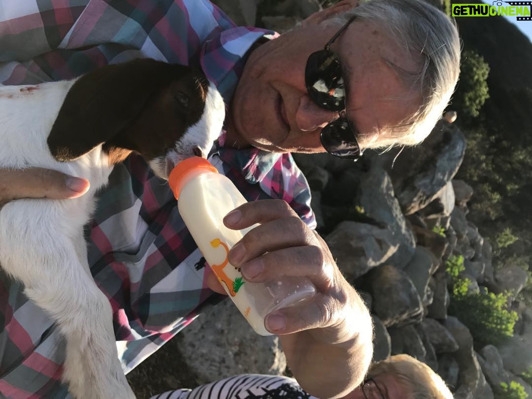 Kevin McKidd Instagram - Obligatory pic of dad feeding a baby goat - a kid to be exact ;)) the OG and best McKidd of them all - I love you dad happy Father's Day xxx