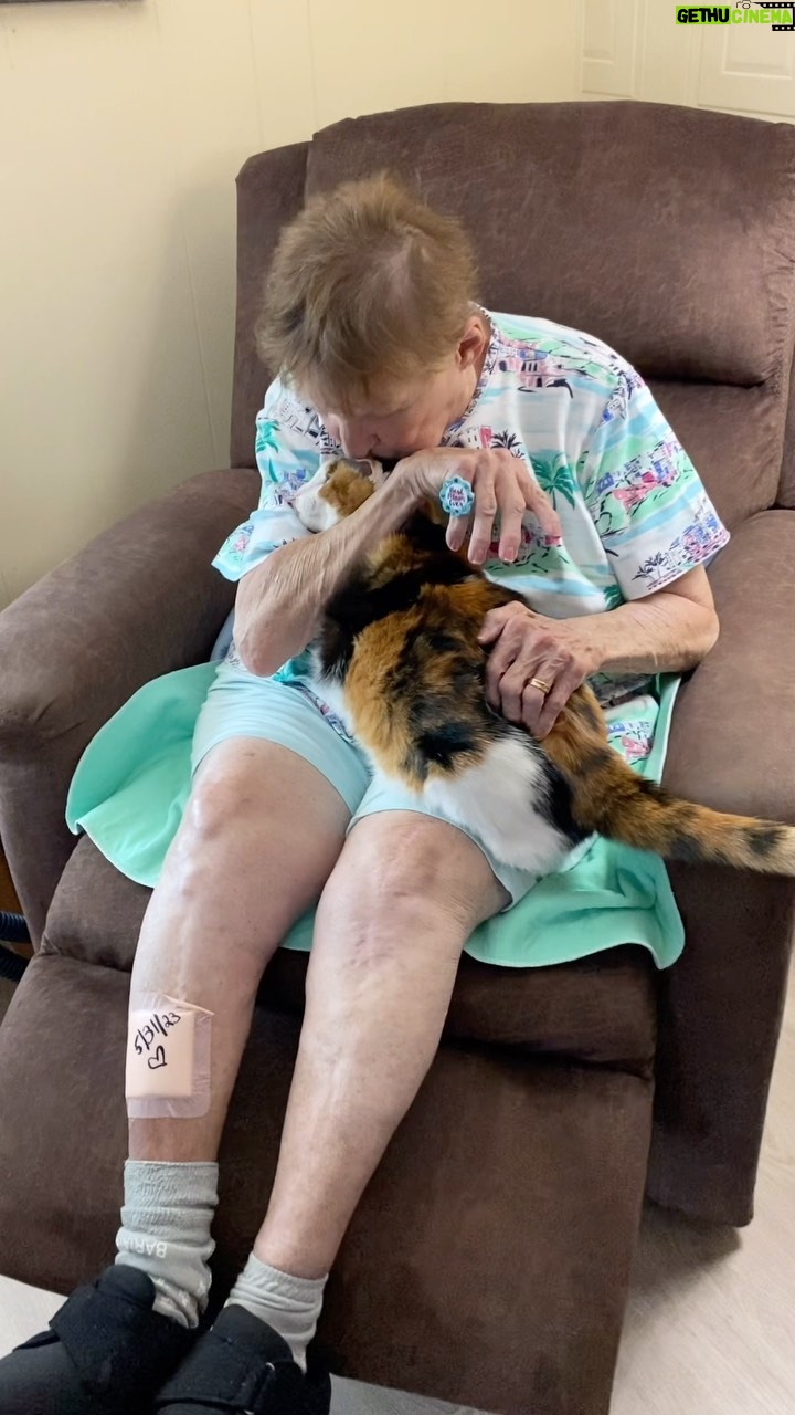 Kevin Smith Instagram - Hallelujah, Mom’s home! After over 10 weeks in hospitals (including a few near-death days), my Mom is finally back in her house again, reunited with her beloved 20 year old cat, Princess! Thank you to everyone who sent both well-wishes and cards these past few months. It meant the world to Mom (and me). If you can, go hug your Mom’s, Kids! #KevinSmith #mom #catsofinstagram