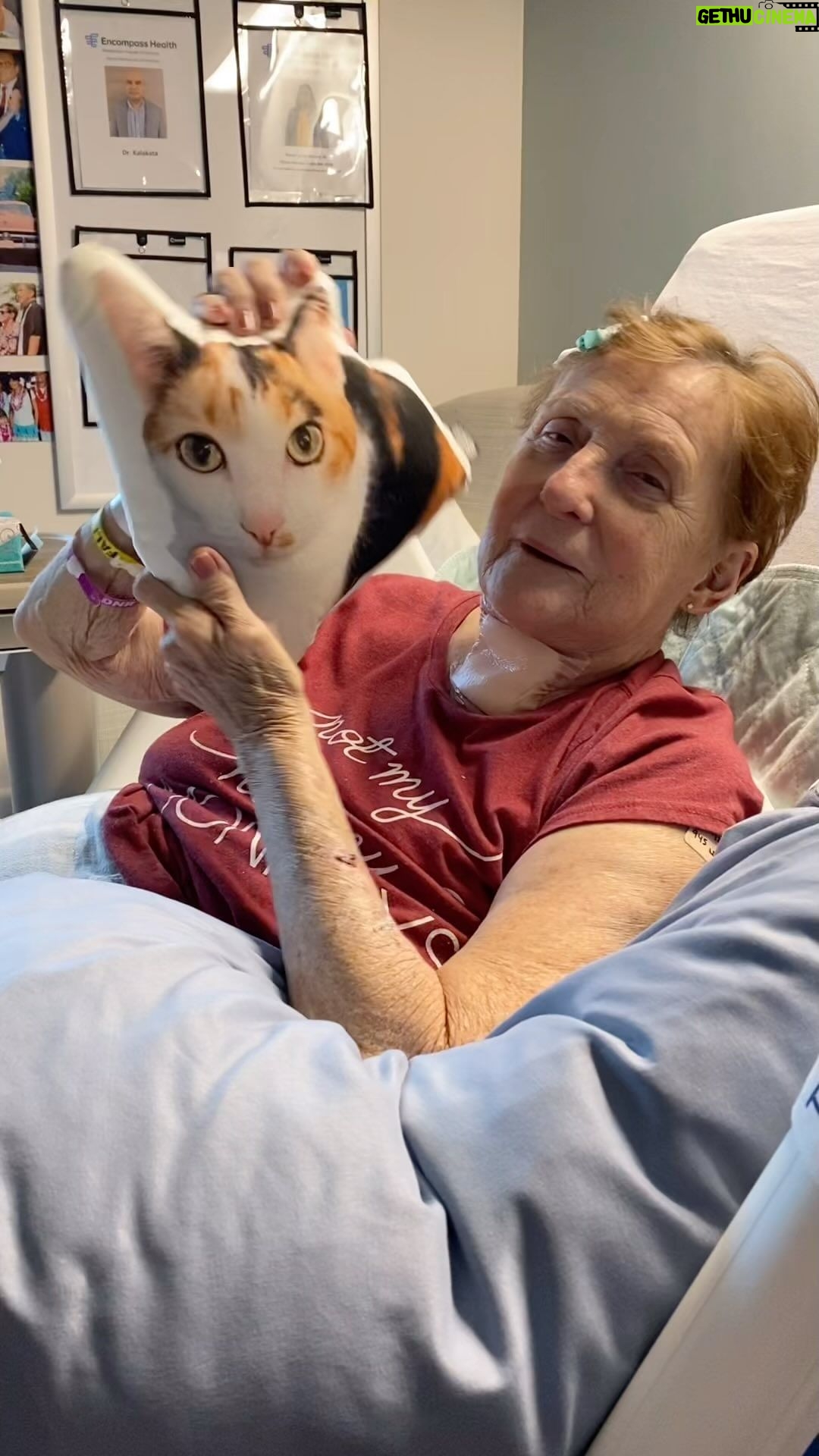 Kevin Smith Instagram - Mom Remembers Dad on Mother’s Day! Forget @guardiansofthegalaxy and @dctheflash! You won’t see a more emotionally compelling movie this summer! Admittedly, this adorable video cuts out just when you wanna hear all about what happened next. But that’s what sequels are for. Starring Amazing Grace! Co-starring pics of Dad, your humble narrator, an off-camera @virginia_in_vienna, and the Princess Pillow. (Princess is Mom’s beloved 20 year old cat who she hasn’t seen in over 7 weeks due to her prolonged hospitalization.) #KevinSmith #mom #catsofinstagram