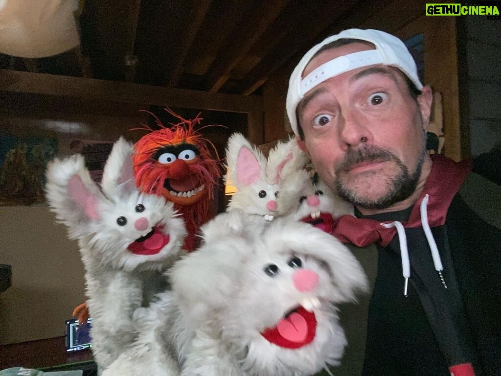 Kevin Smith Instagram - “Did someone say one star director?!” Wanna watch the most sensational, inspirational, celebrational, Muppetational series I was ever lucky enough to play a small part in? Binge all 10 episodes of @themuppetsmayhem on @disneyplus TODAY! And if you’re looking for me, I’m in episode 7, “8 Days a Week”! See Dr. Teeth make a @yogahosers joke! And wait until you hear Animal’s ode to @jaymewes! #KevinSmith #themuppetsmayhem