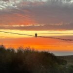 Kevsho Instagram - siempre fui una persona que prefiere más el frío, pero tengo que admitir que en este momento estoy conectando mucho con el verano y hace años no me pasaba. la playa, pasar mucho tiempo en el mar como cuando era chiquito, el protector solar, los atardeceres, la joda, compartir con mis vínculos, estar viviendo por un tiempo en la ciudad donde viví toda mi vida, los amaneceres, todo. se siente lindo y quería dejarlo por escrito. 🫶🏼 Mar del Plata, Argentina