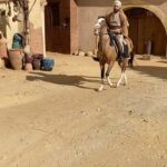 Khaled Anwar Instagram - من تحضيرات شخصية #يوسف_البويطي من امتع الحاجات في التمثيل انه بيخليك تتعلم حاجات و تاخد خبرات مكنتش عندك قبل كده بشكر كل الناس اللي ساعدتني علي تحضير هذا العمل و بشكر كل الاساتذه القائمين عليه حقيقي اتبسط كتير و اتعلمت اكتر 🤍 #رسالة_الإمام #خالد_انور @mediahubadvertising @mmashish @allaithhajjo @taimourtaimour @mohamed_h_obia