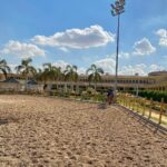 Khaled Anwar Instagram - 🎠🤍 Pegasus Dreamland Club