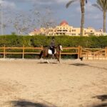 Khaled Anwar Instagram – 🎠🤍 Pegasus Dreamland Club