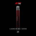 Khamzat Chimaev Instagram - ✒️🔥👊🏼 @thepainpen coming soon