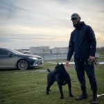 Khamzat Chimaev Instagram - My best friend Tyson 🖤 Элин-Юрт