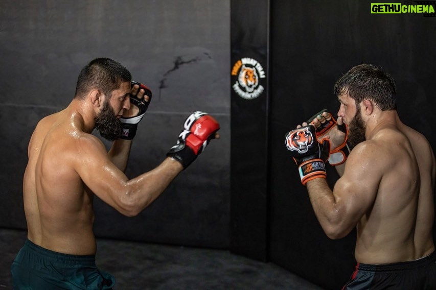 Khamzat Chimaev Instagram - @rdx_sports ππΌπ₯ Phuket, Thailand