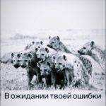 Khamzat Chimaev Instagram -