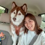 Khemanit Jamikorn Instagram - พาแก๊งหมาป่ามาหาพี่ใหม่ค่ะ 🦊💇🏻‍♀️ ระหว่างทำ ลูกๆก็นั่งรอกันอย่างเรียบร้อย เก่งมากๆๆลูก 😉👍🏻 . . . ขอบคุณพี่ใหม่นะคะ🙏🏻😉🩷 @urbiehairsalon @tipmai91 #panpanhuskyfamily Rebiker & Urbie Hair Salon