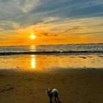 Khloë Terae Instagram - things that make me happy (: Hermosaa Beachh.<3
