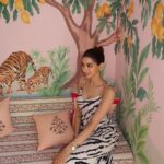 Khushi Kapoor Instagram - 🦓🤍