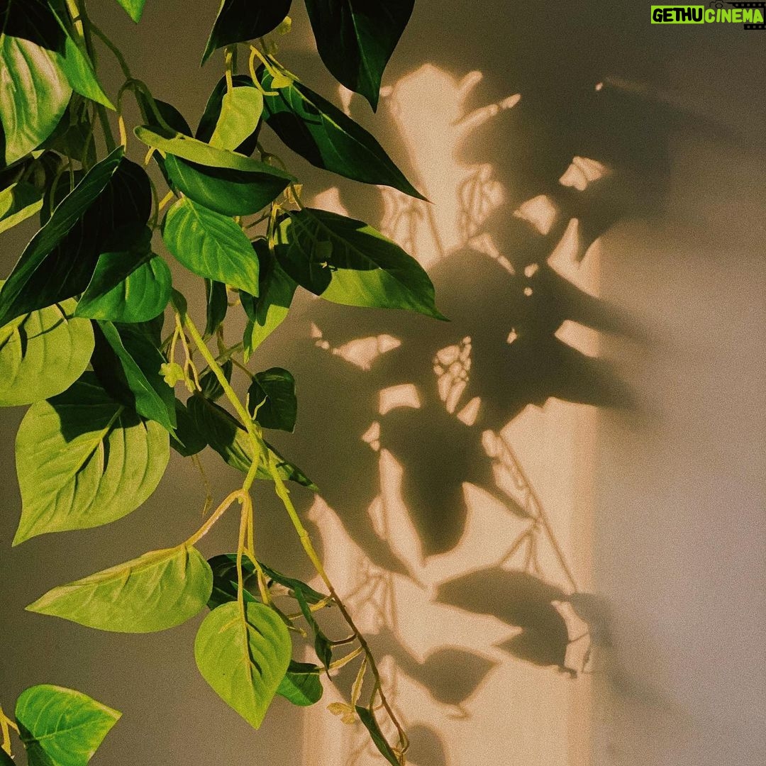 Kian Lawley Instagram - wish i was a good enough plant dad to own a real hanging plant :(