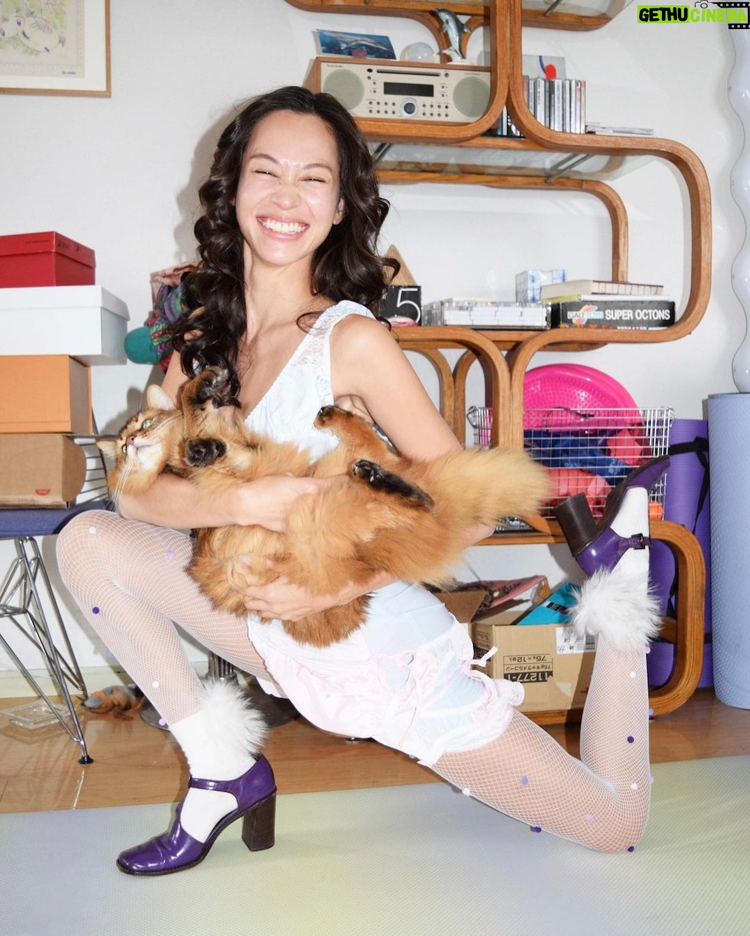 Kiko Mizuhara - 121.9K Likes - @pusspussmag with my baby boy ciccio🐈 by @fumikoimano🐰♡
@sh0tar0y @sakiemiura
*。*.。*∧,,,∧
ヾ(⌒(_=•ω•)_