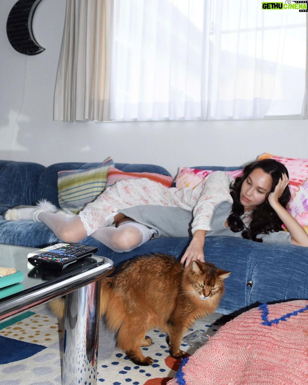 Kiko Mizuhara - 121.9K Likes - @pusspussmag with my baby boy ciccio🐈 by @fumikoimano🐰♡
@sh0tar0y @sakiemiura
*。*.。*∧,,,∧
ヾ(⌒(_=•ω•)_