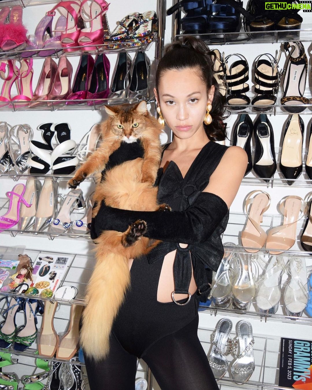 Kiko Mizuhara - 121.9K Likes - @pusspussmag with my baby boy ciccio🐈 by @fumikoimano🐰♡
@sh0tar0y @sakiemiura
*。*.。*∧,,,∧
ヾ(⌒(_=•ω•)_