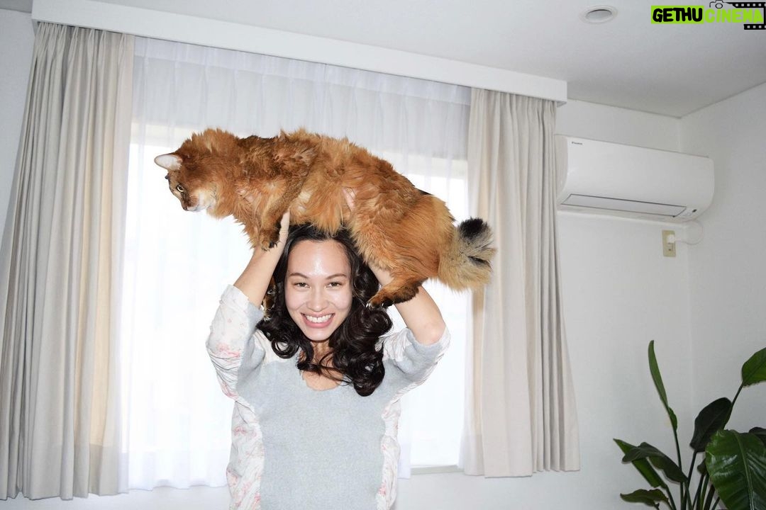 Kiko Mizuhara Instagram - @pusspussmag with my baby boy ciccio🐈 by @fumikoimano🐰♡ @sh0tar0y @sakiemiura *。*.。*∧,,,∧ ヾ(⌒(_=•ω•)_ Tokyo, Japan
