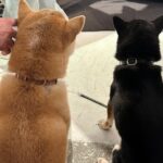 Kim Chae-won Instagram – the way things go