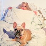 Kim Chi Instagram – Sleeping on the fluffy wave hybrid snow @casper mattress feels like I’m in a dream, laying on fluffy bed of clouds and I’m sure my puppy pal Butter agrees with me too! #gifted