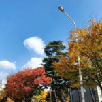 Kim Dong-hee Instagram – 🍁🌿🍂