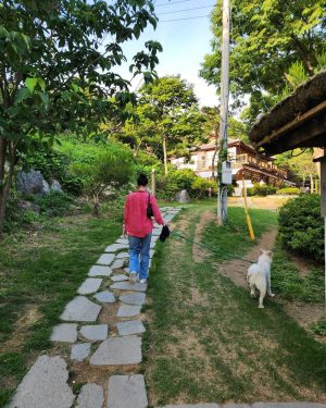 Kim Go-eun Instagram - 월이와 오랜만에 데이트 💕