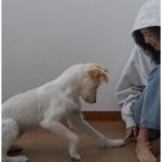 Kim Go-eun Instagram – 우리 월이랑 🤍