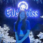Kim Hye-yoon Instagram – #AD @edelweiss_kr 
에델바이스 FEEL THE ALPS 팝업스토어 💙
그 어디에서도 경험하지 못했던 특별하고 감각적인 여정을 함께하세요!
 
기간 : 2023년 6월 2일(금) – 7월 9일(일) 
장소 : 서울 강남구 압구정로50길 13 

※경고: 지나친 음주는 뇌졸중, 기억력 손상이나 치매를 유발합니다. 임신 중 음주는 기형아 출생 위험을 높입니다. 

#에델바이스 #FEELTHEALPS #에델바이스팝업 #나만을위한한잔 #FEELTHEALPSINAPGUJUNG #edelweiss
