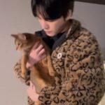 Kim Jae-joong Instagram - ここ、ねこ、ここは、どこ？