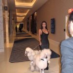 Kim Kardashian Instagram – best in show.