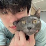 Kim Min-gue Instagram - 🐱