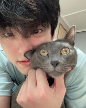 Kim Min-gue Instagram - 🐱