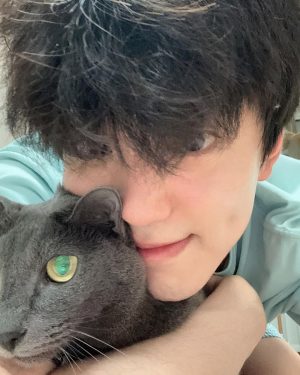 Kim Min-gue Instagram - 🐱