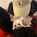 Kim Min-ju Instagram - 옥수수 익어가는 즁