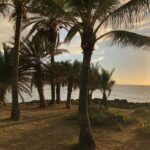 Kim Sung-cheol Instagram - Northshore Beach