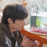 Kim Sung-cheol Instagram -