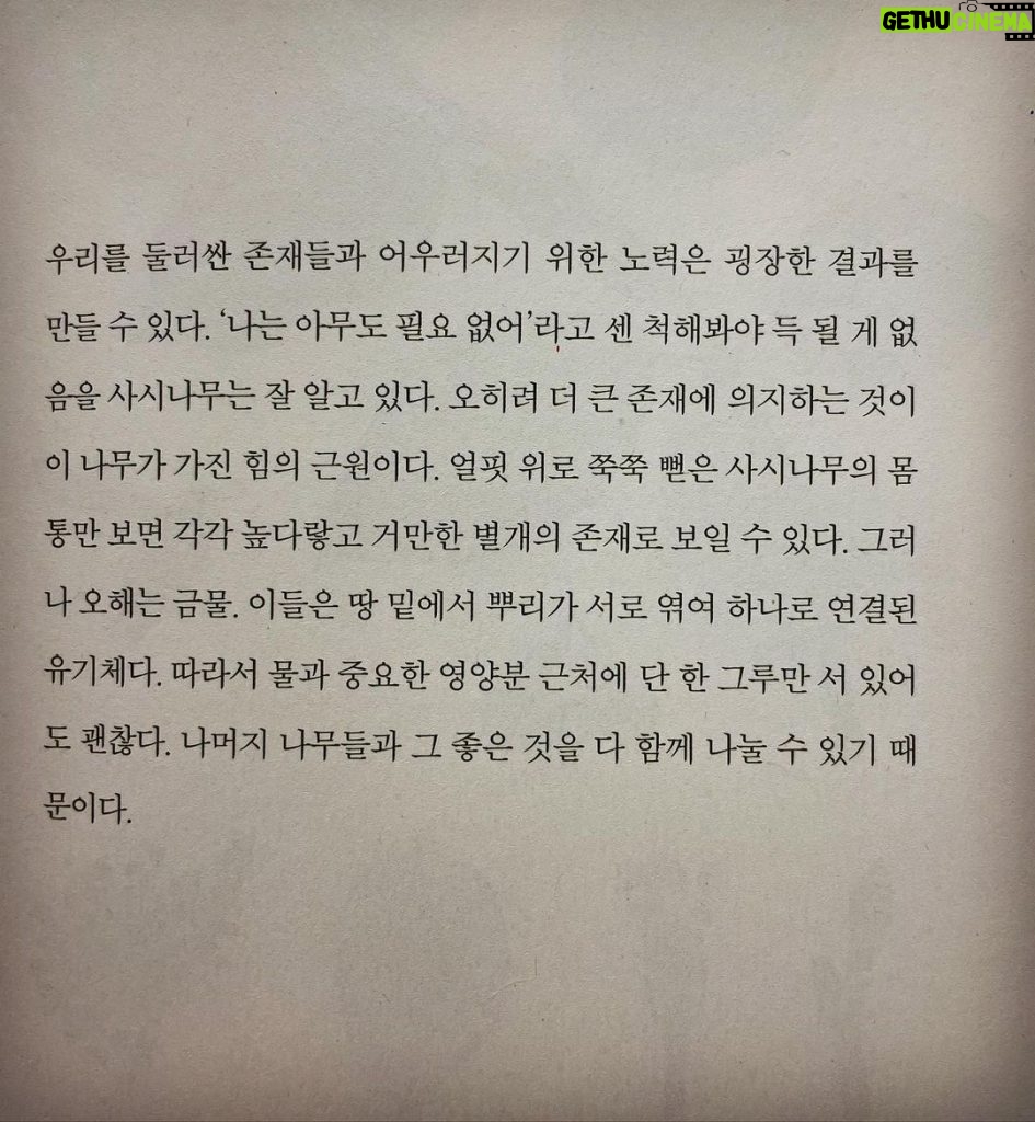 Kim You-jung Instagram -