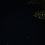 Kim You-jung Instagram - Forest of stars -