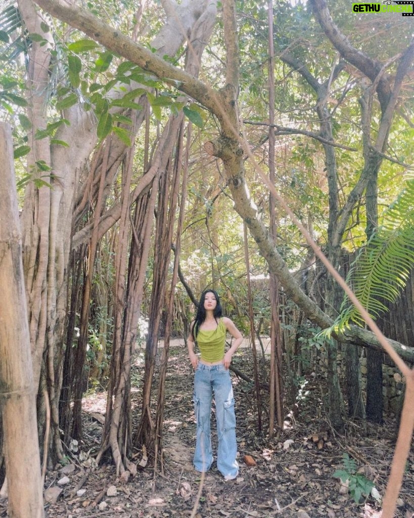 Kim You-jung Instagram - 🌳나무가 되고파🌳 Six Senses Ninh Van Bay, Nha Trang